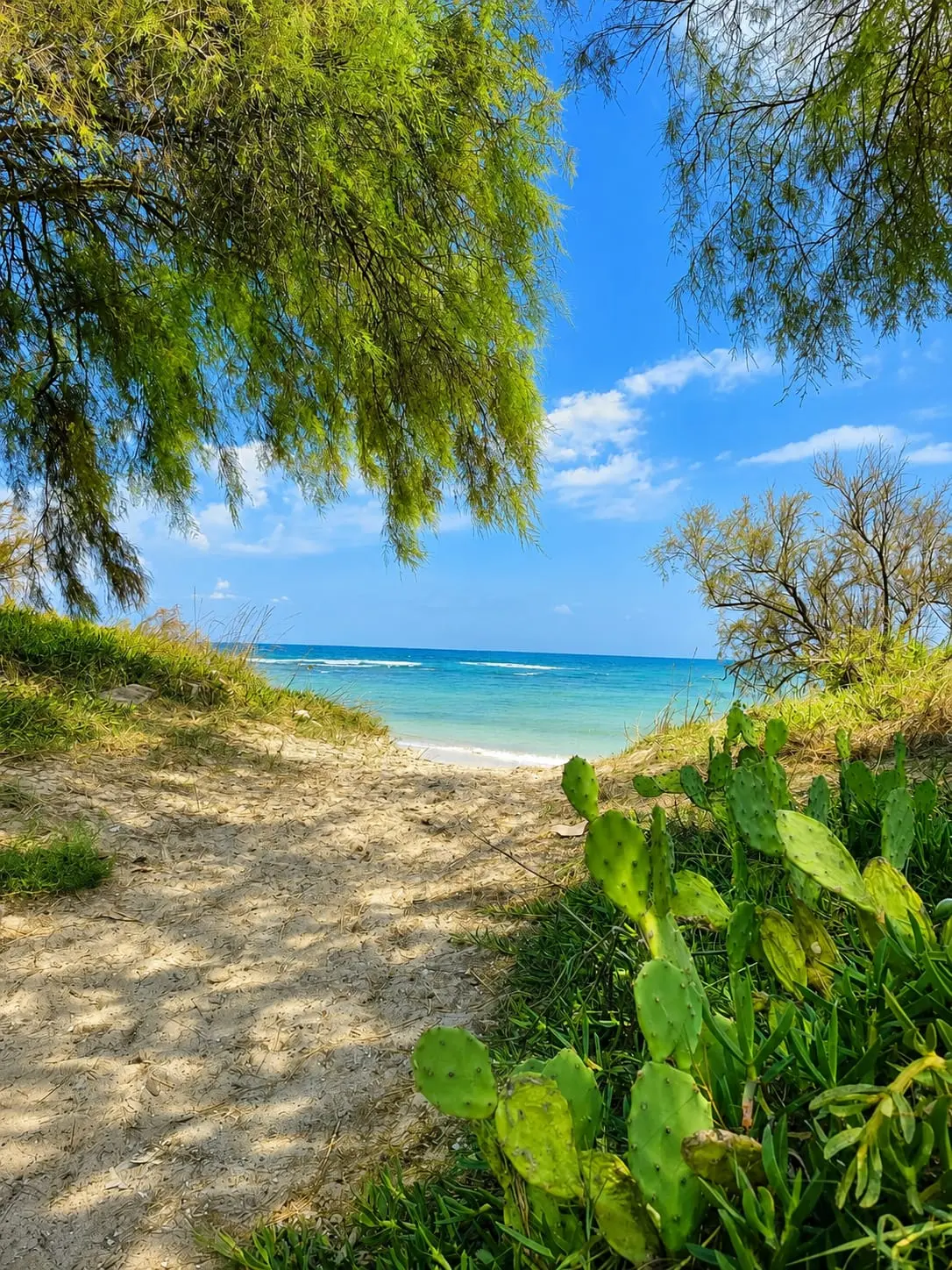 Accesso alla spiaggia vicino Torre Chianca